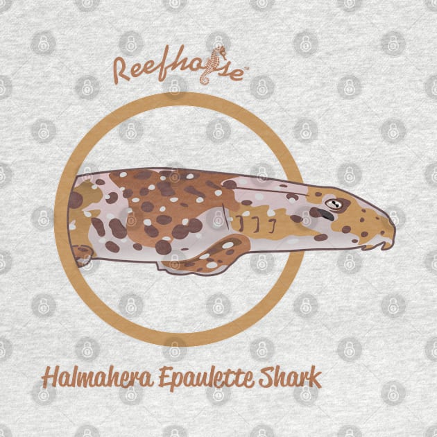 Halmahera Epaulette Shark by Reefhorse